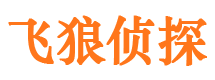 高陵市侦探调查公司